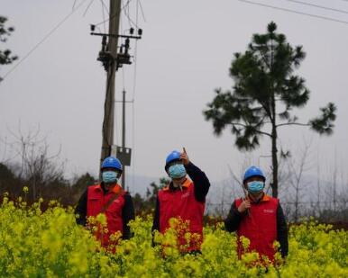 國網江西電力公司全力保障春季農業(yè)生產