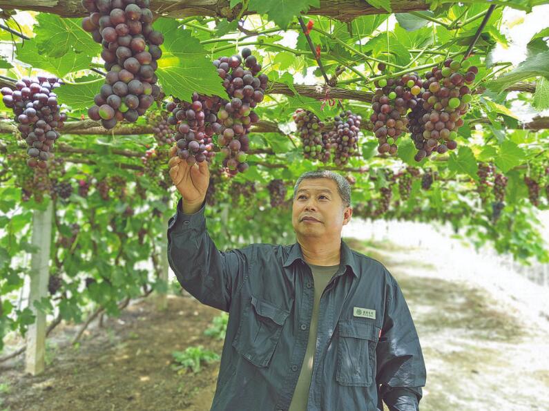 王軟貞：心系小山村 為民辦實事