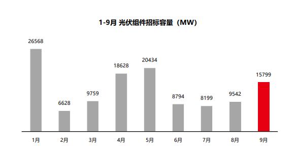 組件招標(biāo)量飆升，莫讓“最低價(jià)中標(biāo)”中傷“中國(guó)名片”