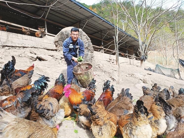 駐村第一書記寸城鋼：扎根雪域高原 情暖傈鄉(xiāng)大地