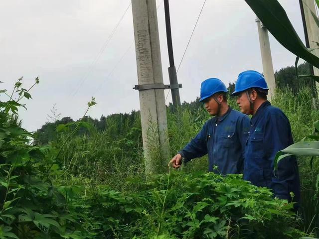 國網長春供電公司積極應對極端天氣，確保線路設備穩(wěn)定運行