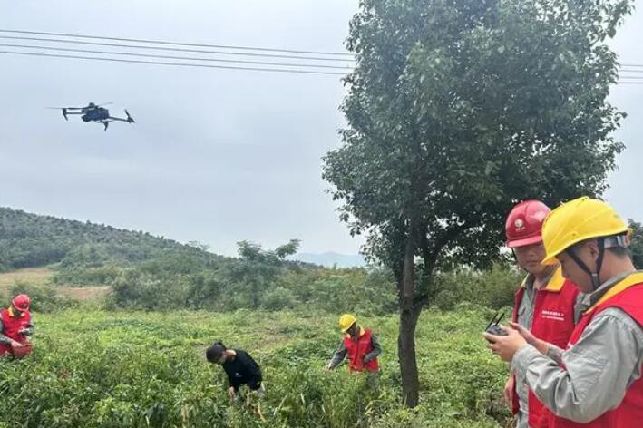 國網(wǎng)桂陽縣供電公司 無人機“巡線” 為秋檢“添翼”