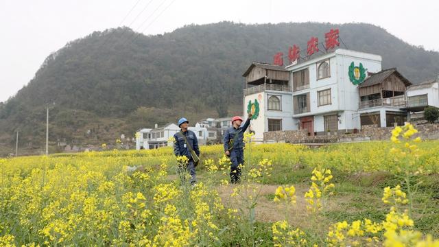 貴州貞豐供電局優(yōu)質(zhì)服務助力智慧農(nóng)業(yè)春耕備耕